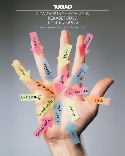 Gıda, Tarım ve Hayvancılık Rekabet Gücü Temel Bulgular