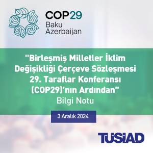 “Birleşmiş Milletler İklim Değişikliği Çerçeve Sözleşmesi 29.Taraflar Konferansı (COP29)’nın Ardından”  Bilgi Notu