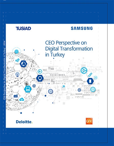 CEO Perspective on Digital Transformation in Türkiye
