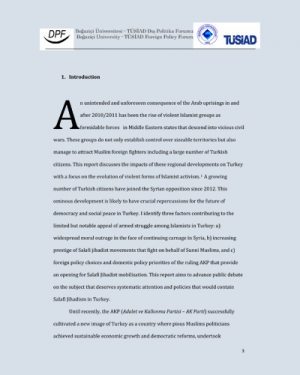 Turkish Foreign Policy and Homegrown Radicalization In The Post-Arab Uprisings