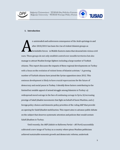 Turkish Foreign Policy and Homegrown Radicalization In The Post-Arab Uprisings