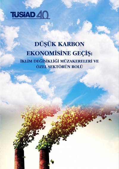 Düşük Karbon Ekonomisine Geçiş: İklim ⁬Değişikliği Müzakereleri ve Özel Sektörü Rolü