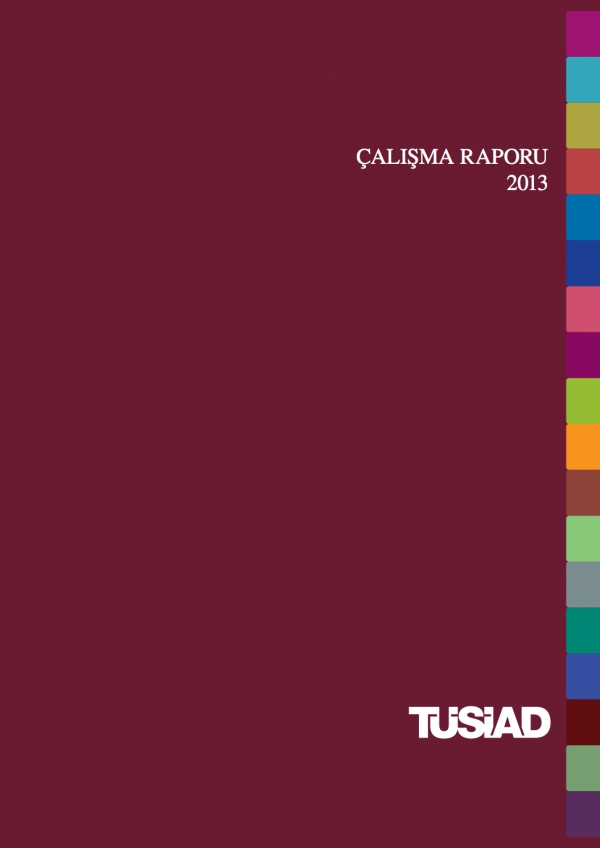 TÜSİAD Faaliyet Raporu 2013