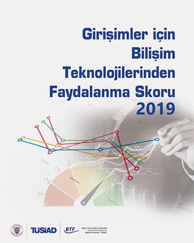 Girişimler İçin Bilişim Teknolojilerinden Faydalanma Skoru 2019