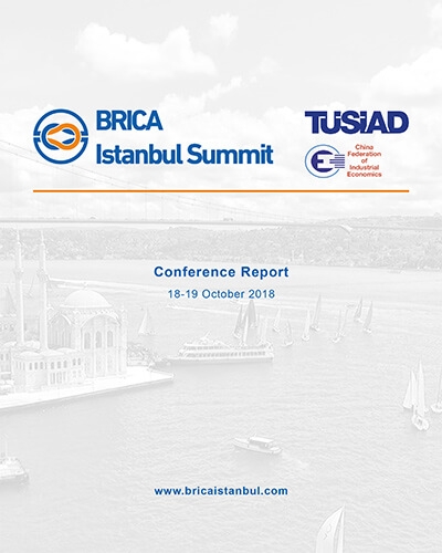 BRICA İstanbul Summit - Conference Report