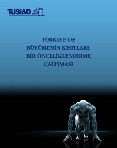 Türkiye’de Büyümenin Kısıtları: Bir Önceliklendirme Çalışması